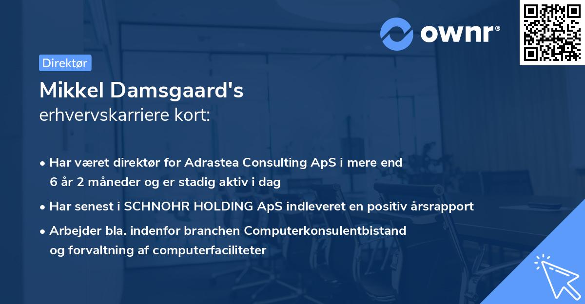 Mikkel Damsgaard's erhvervskarriere kort