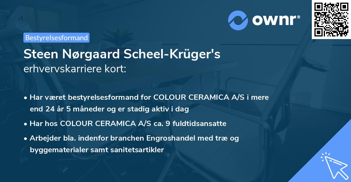Steen Nørgaard Scheel-Krüger's erhvervskarriere kort