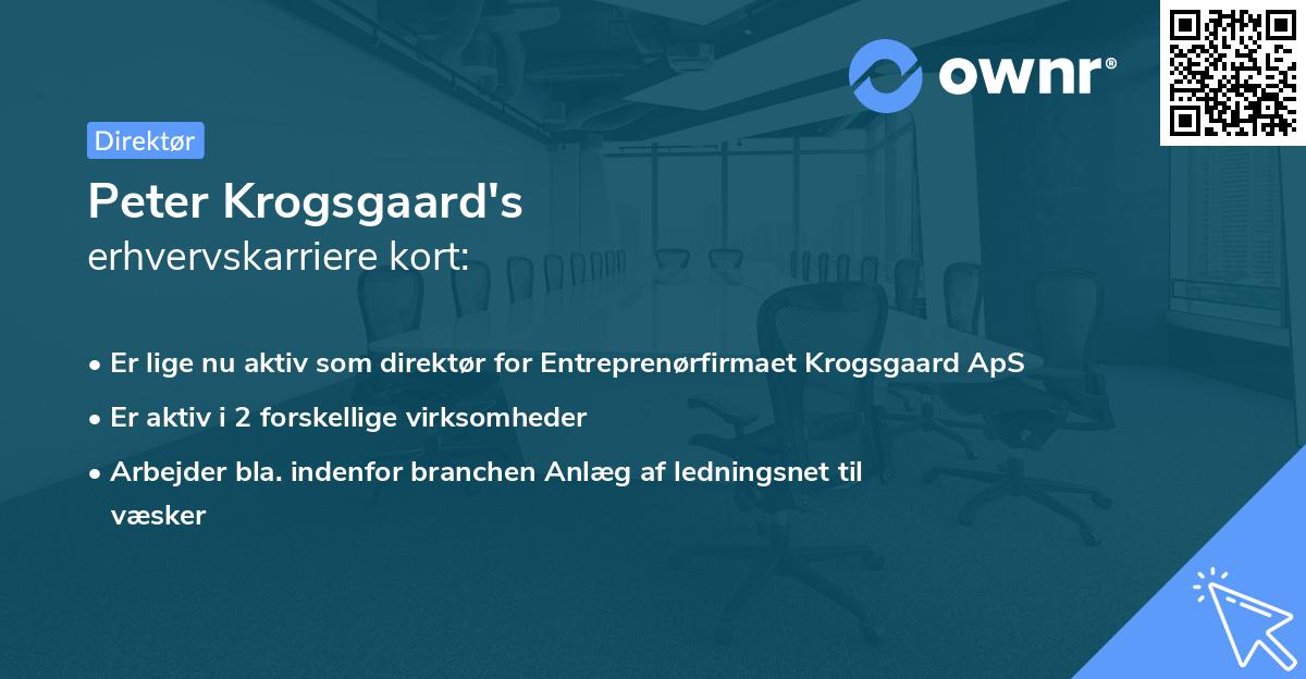 Peter Krogsgaard's erhvervskarriere kort
