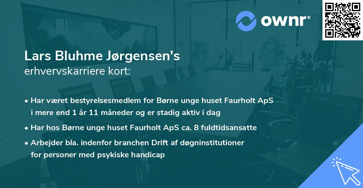 Lars Bluhme Jørgensen's erhvervskarriere kort