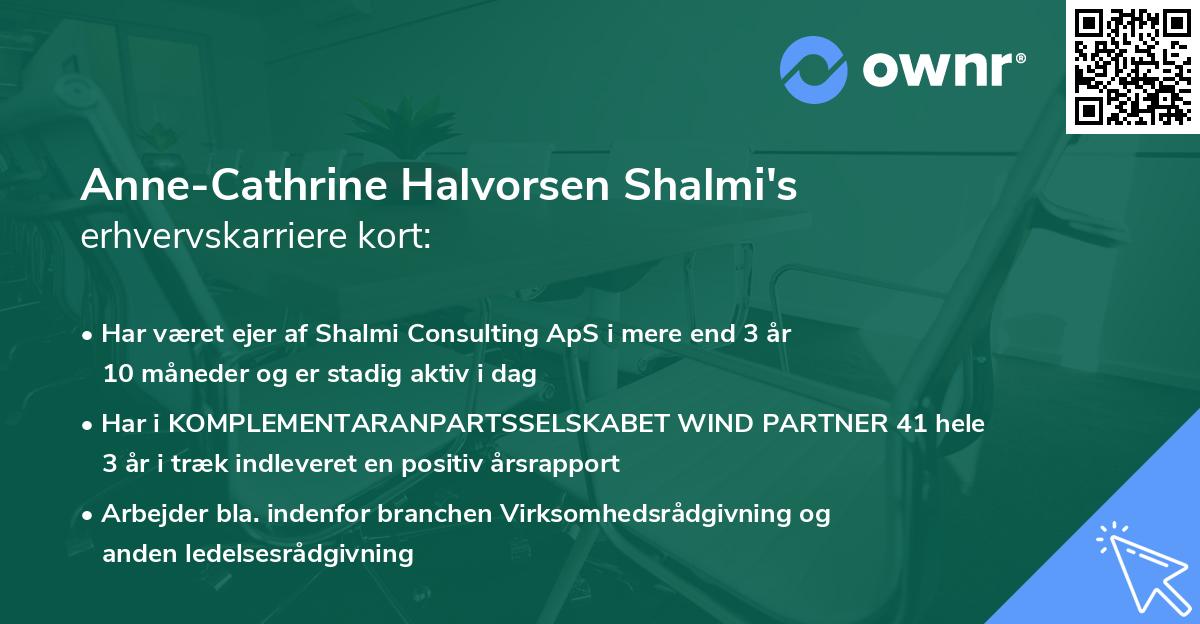 Anne-Cathrine Halvorsen Shalmi's erhvervskarriere kort