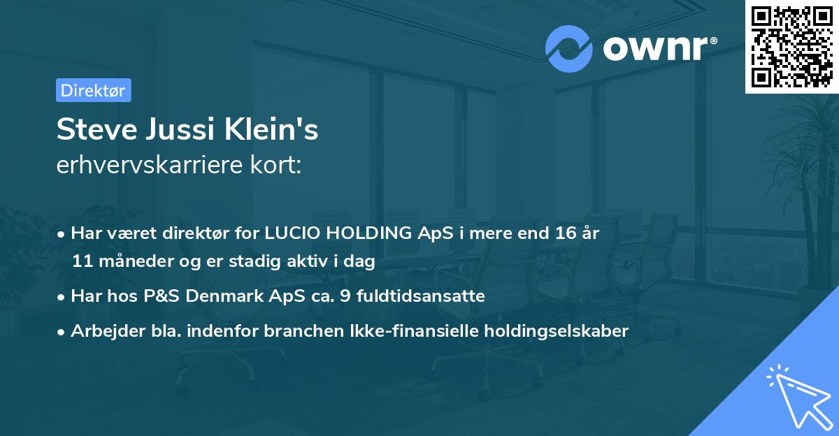 Steve Jussi Klein's erhvervskarriere kort