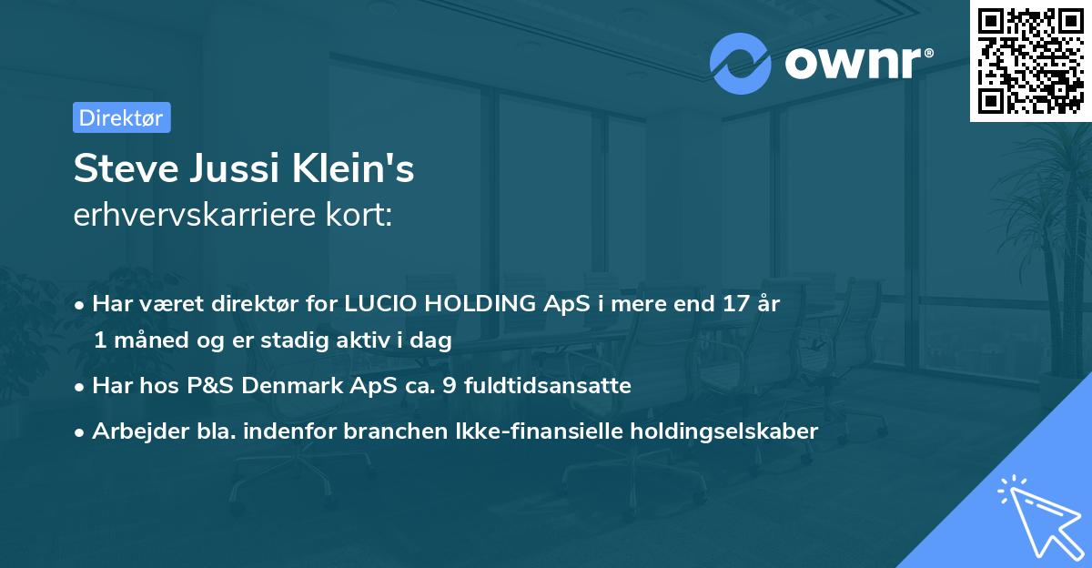 Steve Jussi Klein's erhvervskarriere kort