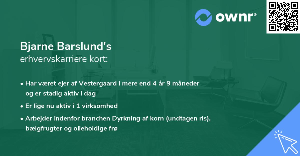 Bjarne Barslund's erhvervskarriere kort