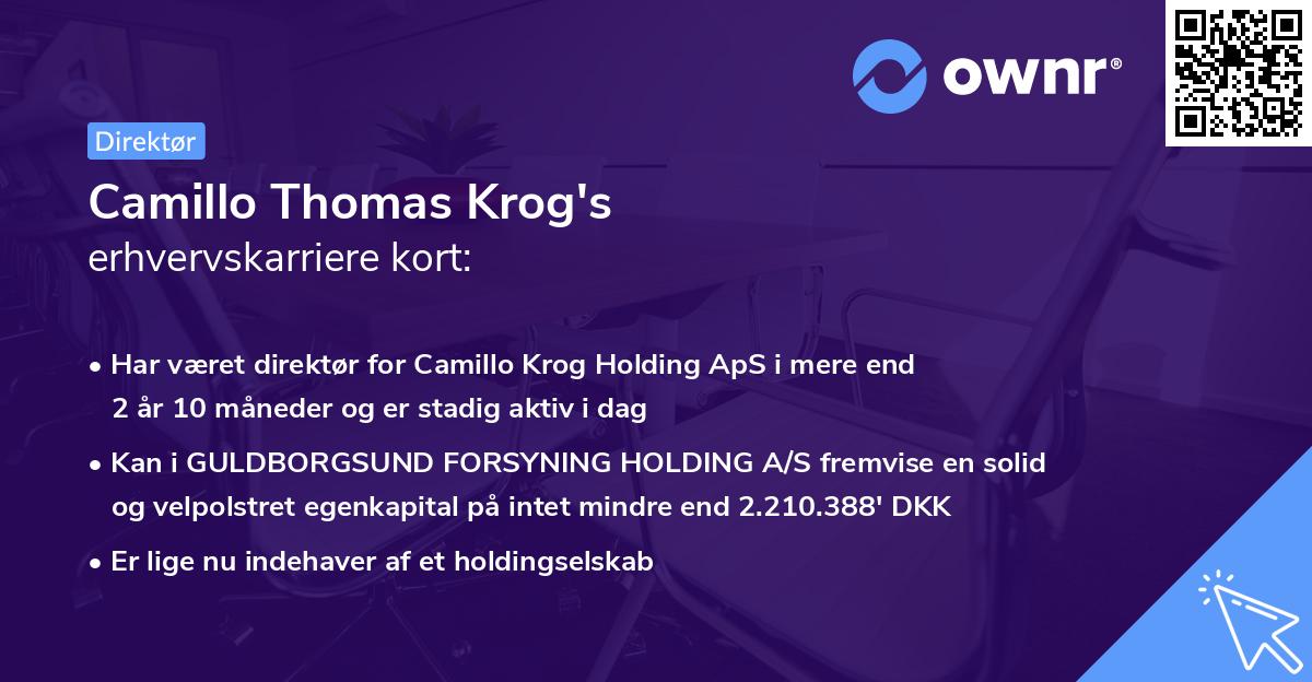 Camillo Thomas Krog's erhvervskarriere kort