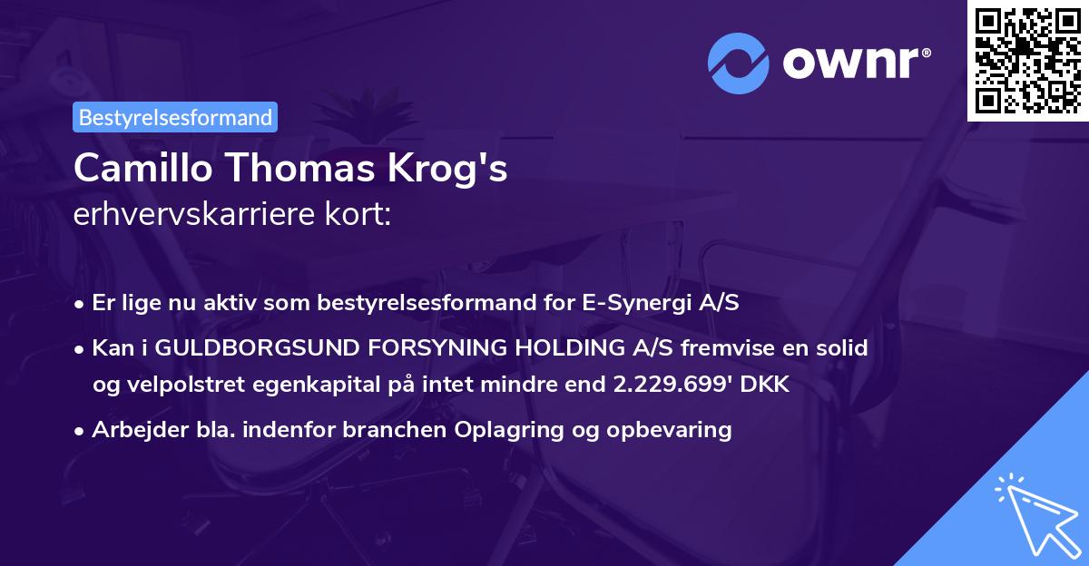 Camillo Thomas Krog's erhvervskarriere kort