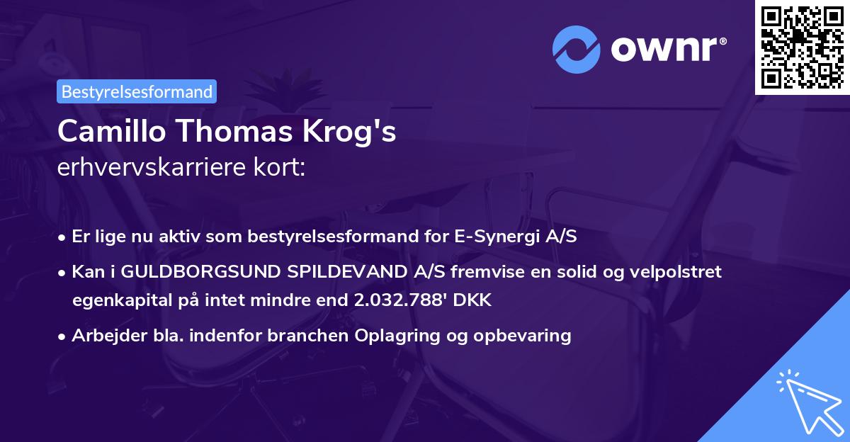 Camillo Thomas Krog's erhvervskarriere kort