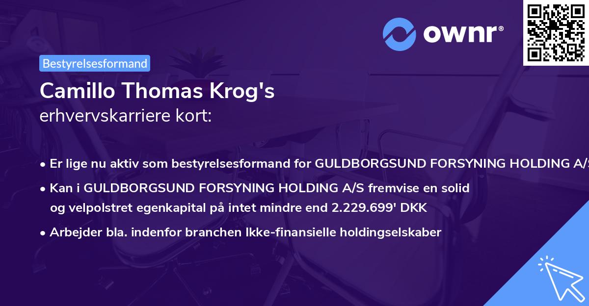Camillo Thomas Krog's erhvervskarriere kort