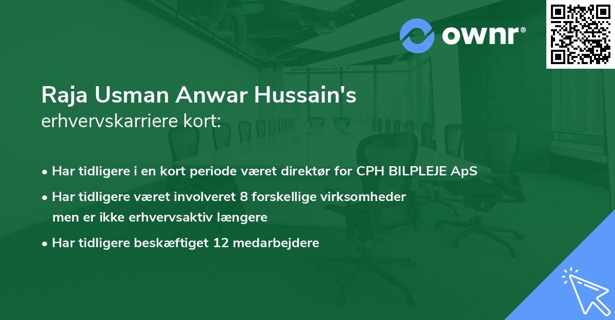 Raja Usman Anwar Hussain's erhvervskarriere kort
