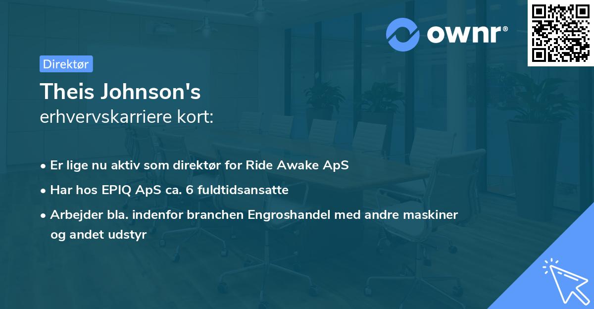 Theis Johnson's erhvervskarriere kort
