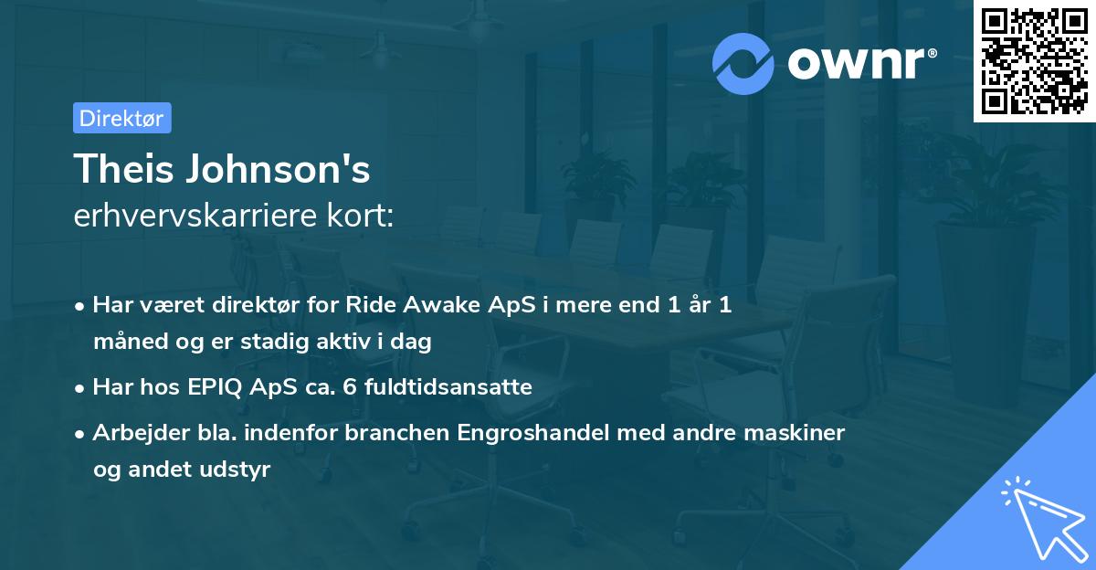 Theis Johnson's erhvervskarriere kort