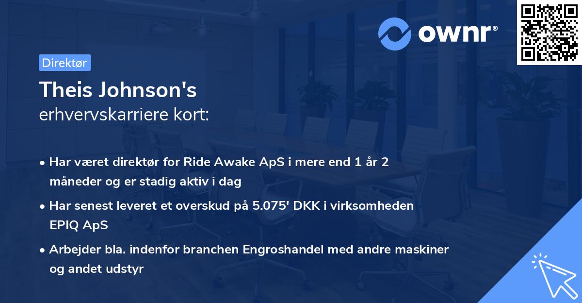 Theis Johnson's erhvervskarriere kort