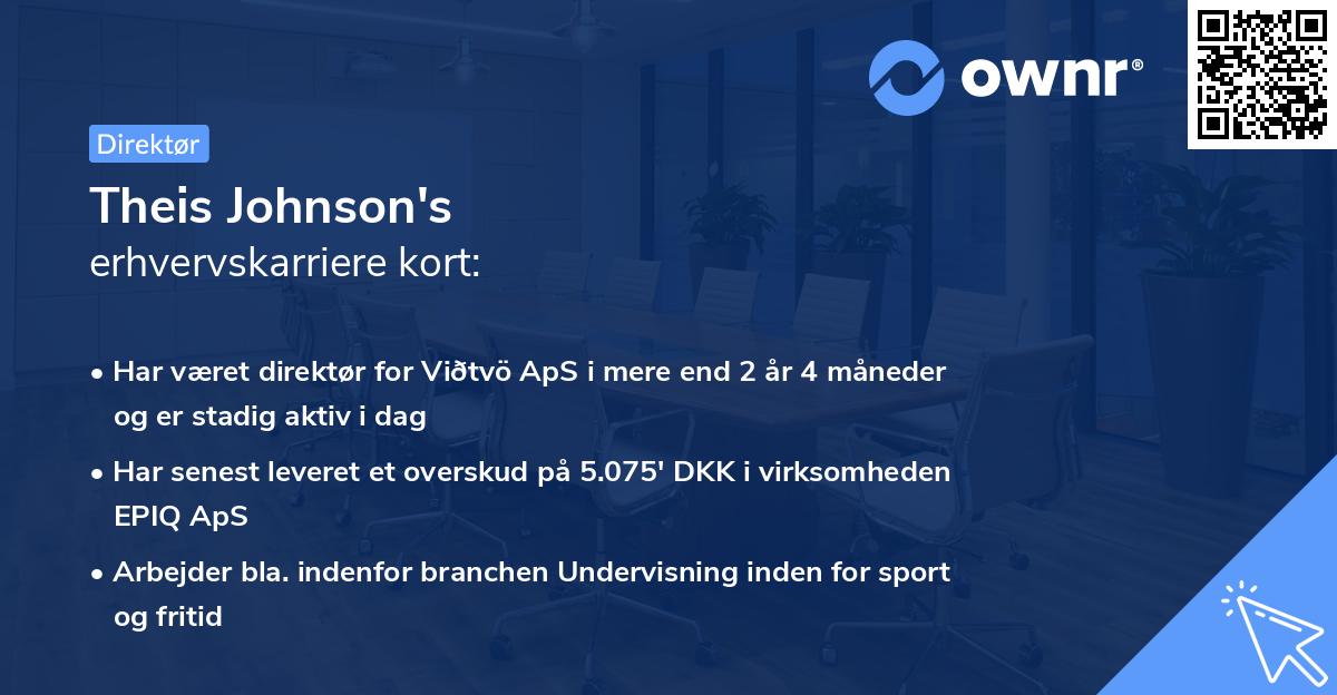 Theis Johnson's erhvervskarriere kort