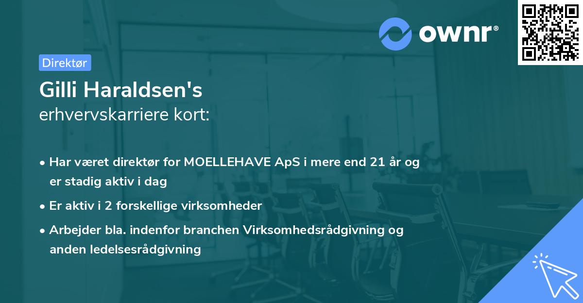 Gilli Haraldsen's erhvervskarriere kort