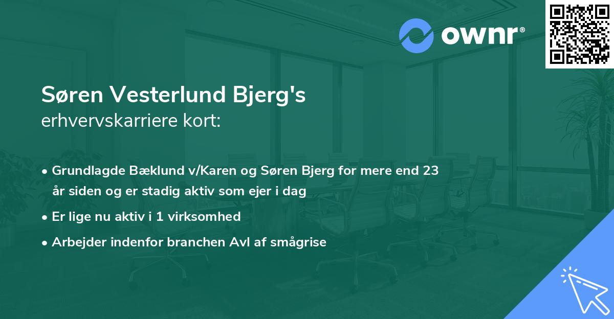 Søren Vesterlund Bjerg's erhvervskarriere kort
