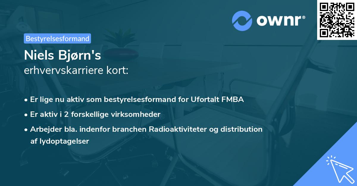 Niels Bjørn's erhvervskarriere kort