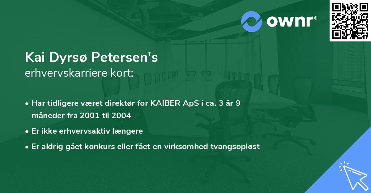 Kai Dyrsø Petersen's erhvervskarriere kort