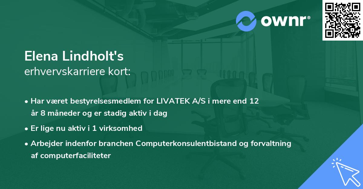 Elena Lindholt's erhvervskarriere kort