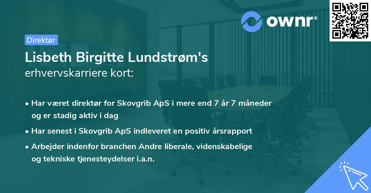 Lisbeth Birgitte Lundstrøm's erhvervskarriere kort