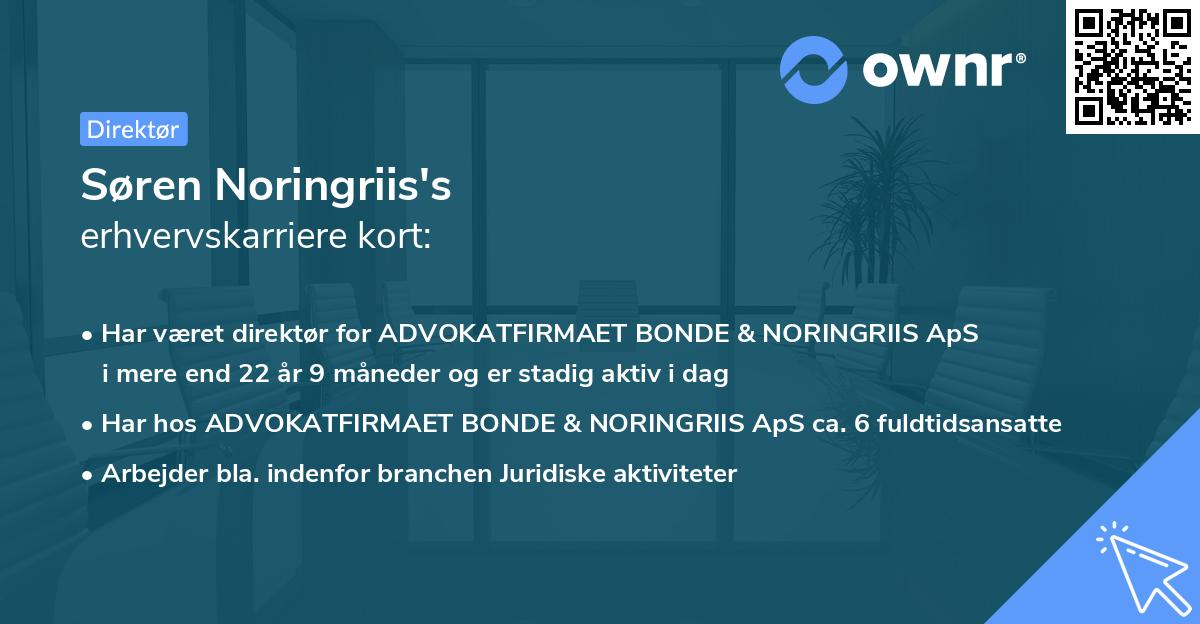 Søren Noringriis's erhvervskarriere kort