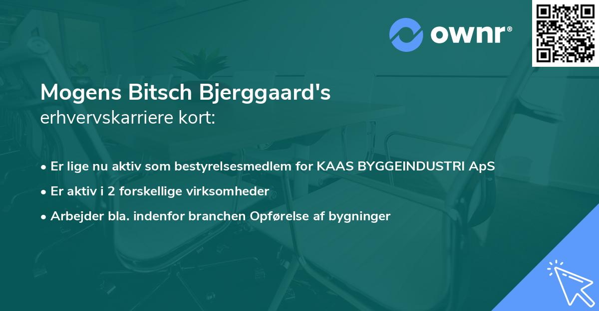 Mogens Bitsch Bjerggaard's erhvervskarriere kort