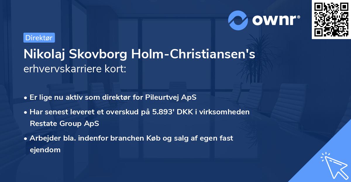 Nikolaj Skovborg Holm-Christiansen's erhvervskarriere kort