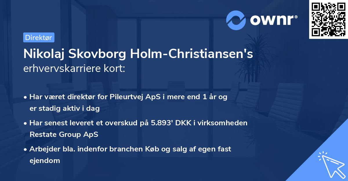 Nikolaj Skovborg Holm-Christiansen's erhvervskarriere kort
