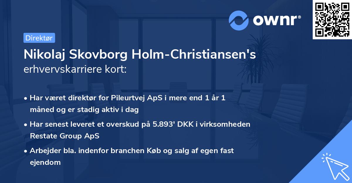 Nikolaj Skovborg Holm-Christiansen's erhvervskarriere kort