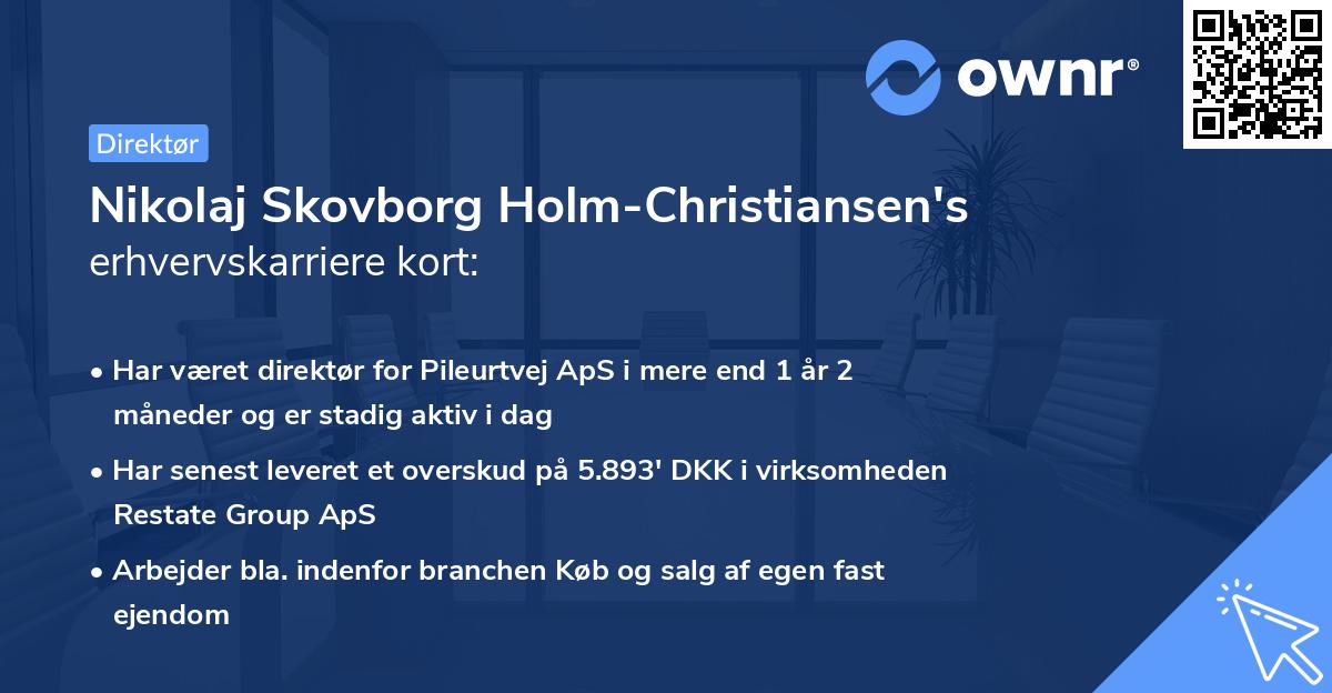 Nikolaj Skovborg Holm-Christiansen's erhvervskarriere kort