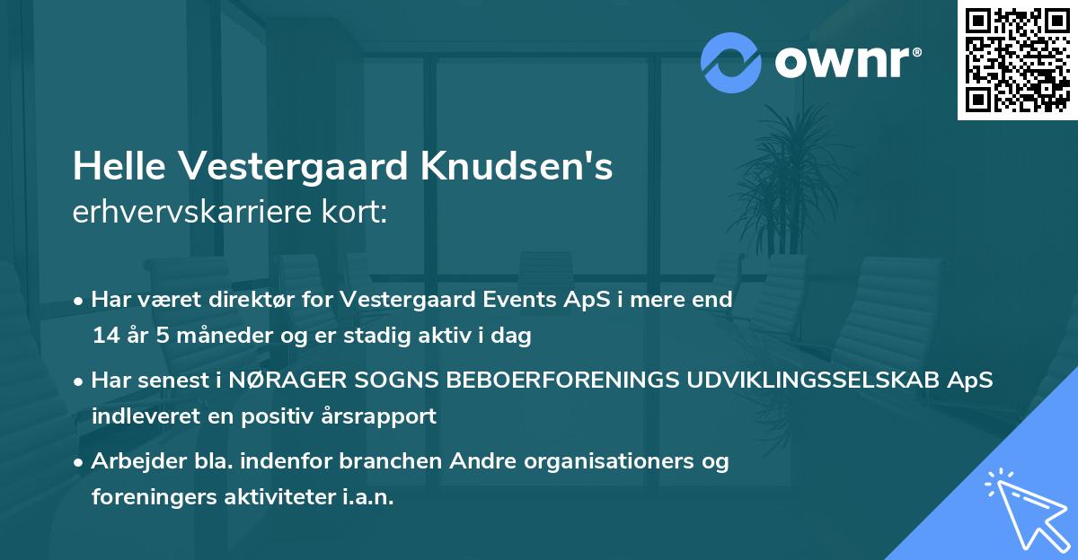 Helle Vestergaard Knudsen's erhvervskarriere kort