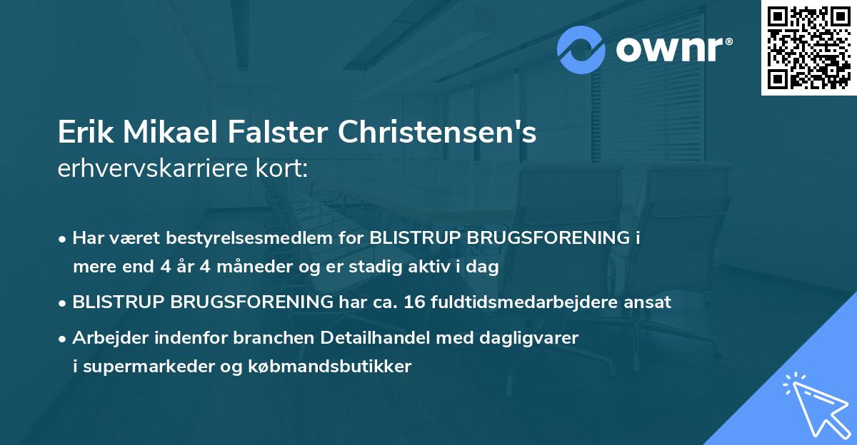 Erik Mikael Falster Christensen's erhvervskarriere kort