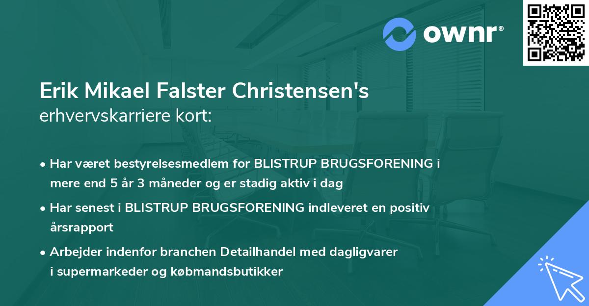 Erik Mikael Falster Christensen's erhvervskarriere kort