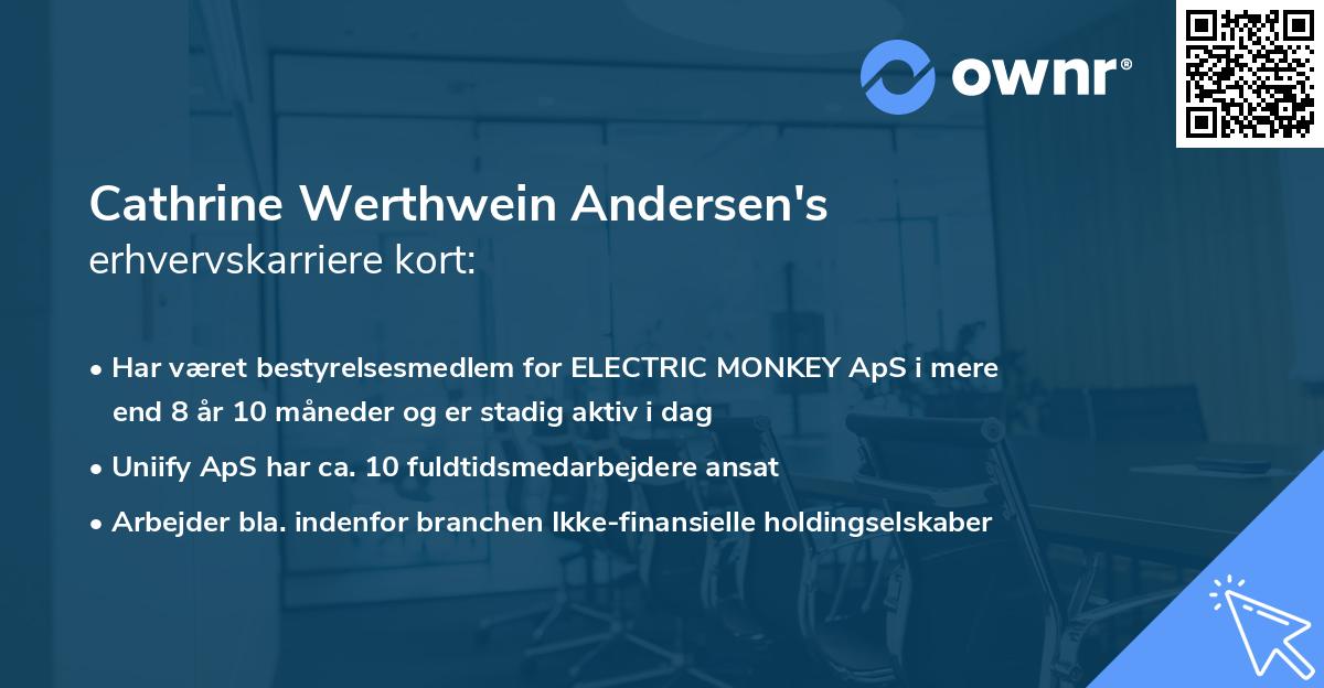 Cathrine Werthwein Andersen's erhvervskarriere kort