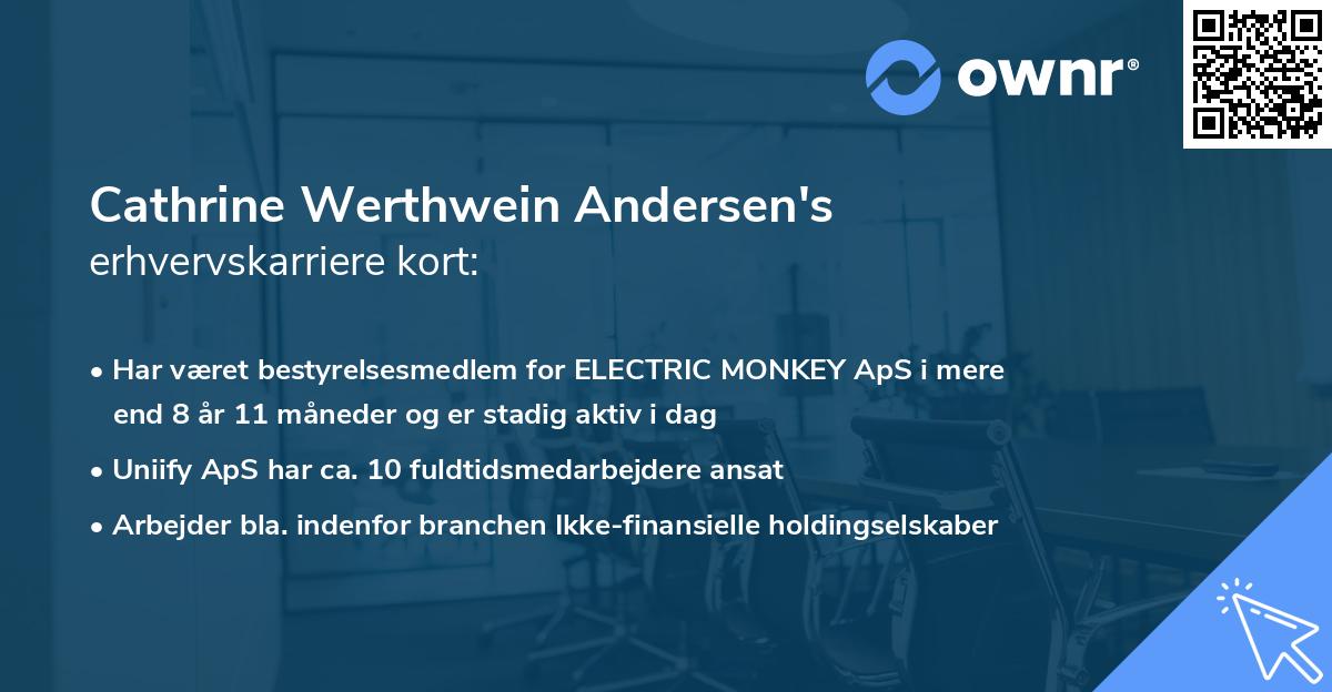Cathrine Werthwein Andersen's erhvervskarriere kort