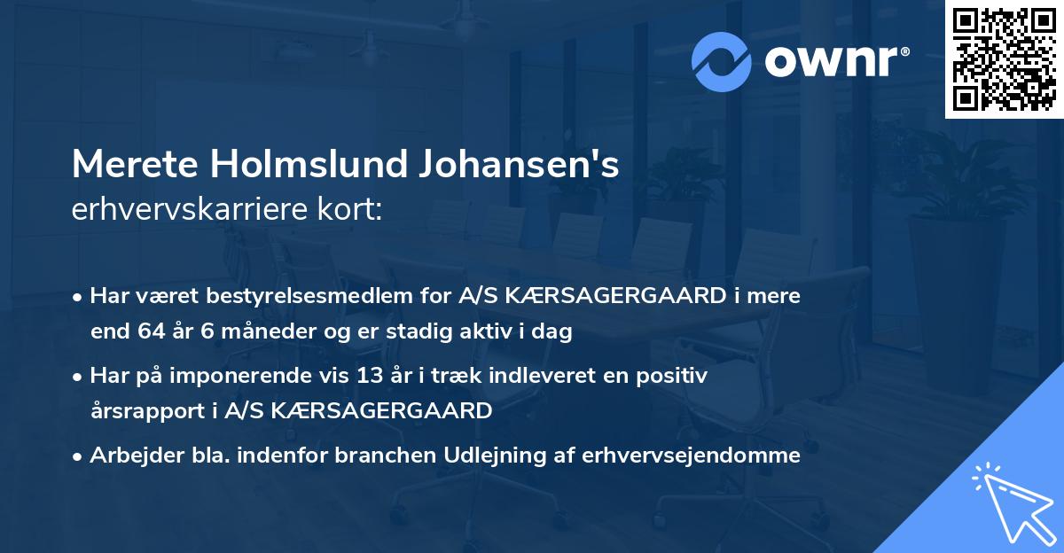 Merete Holmslund Johansen's erhvervskarriere kort
