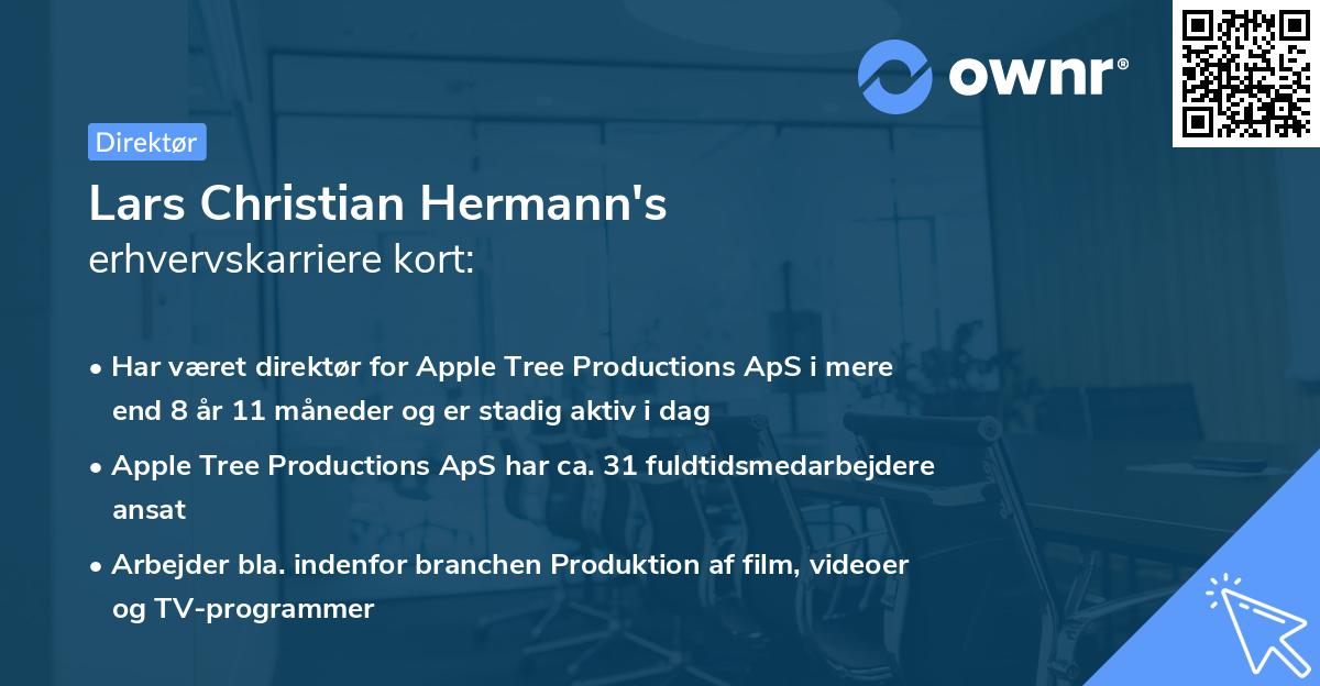 Lars Christian Hermann's erhvervskarriere kort