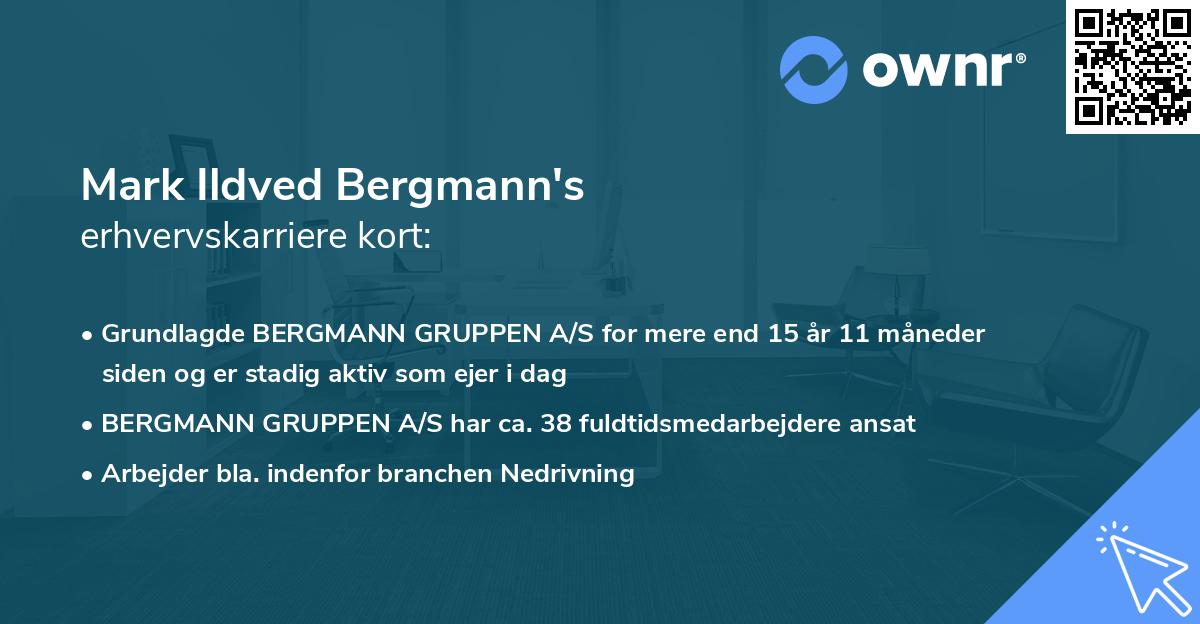 Mark Ildved Bergmann's erhvervskarriere kort