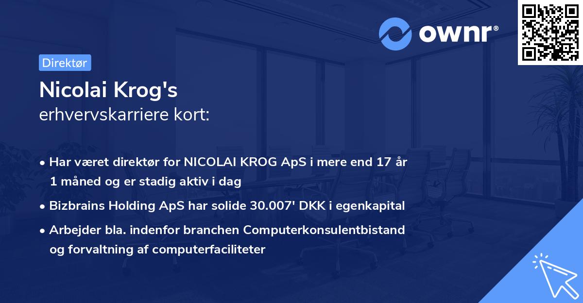 Nicolai Krog's erhvervskarriere kort