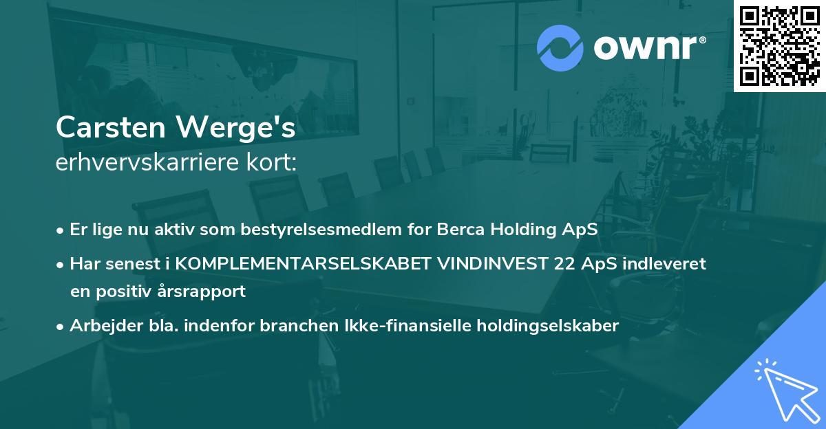 Carsten Werge's erhvervskarriere kort