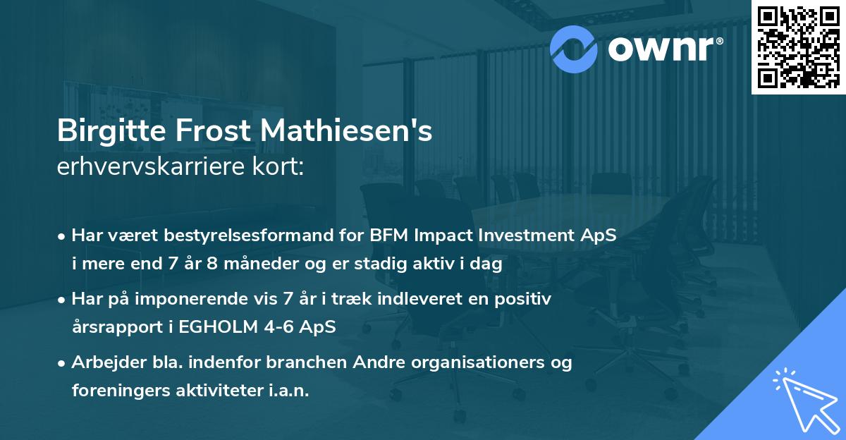 Birgitte Frost Mathiesen's erhvervskarriere kort