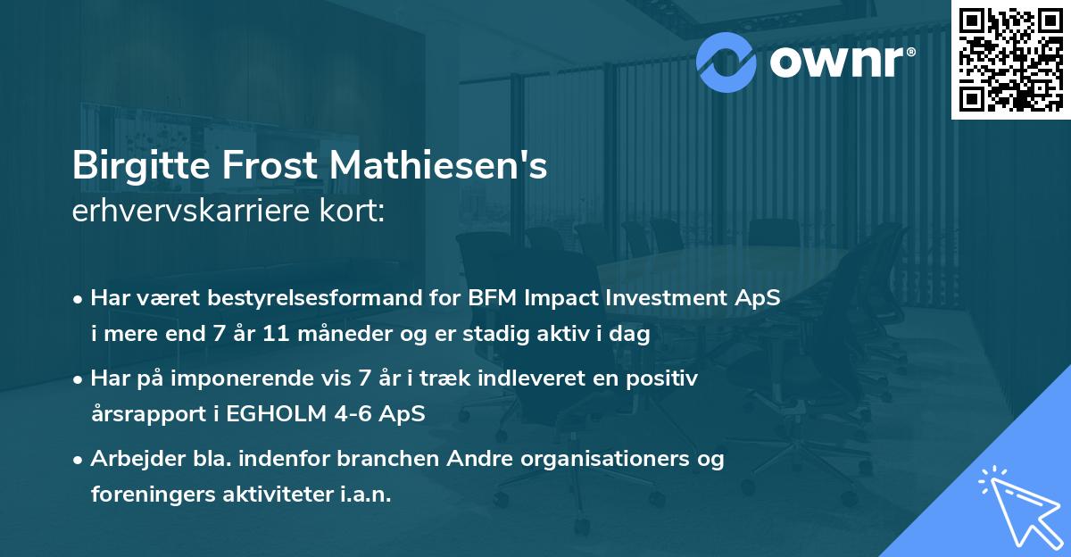 Birgitte Frost Mathiesen's erhvervskarriere kort