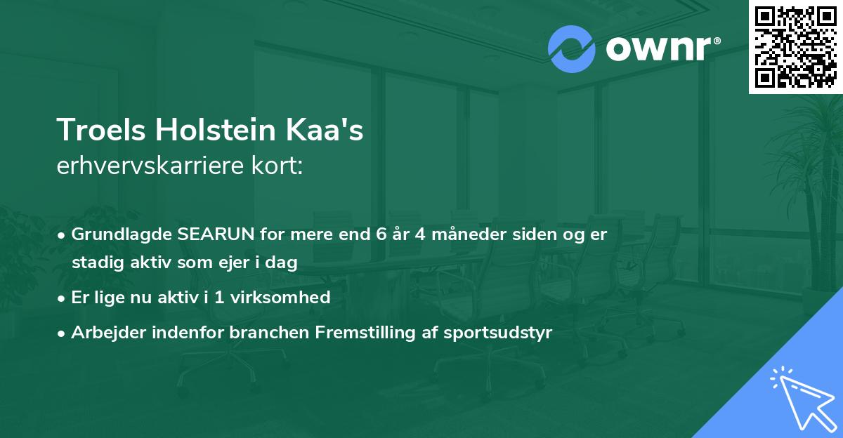 Troels Holstein Kaa's erhvervskarriere kort