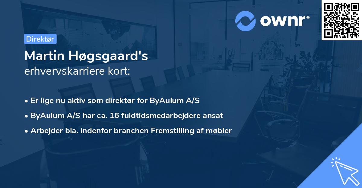 Martin Høgsgaard's erhvervskarriere kort