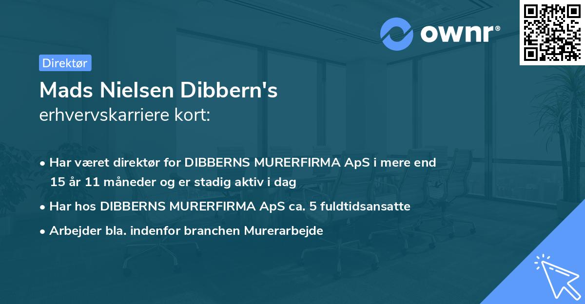 Mads Nielsen Dibbern's erhvervskarriere kort