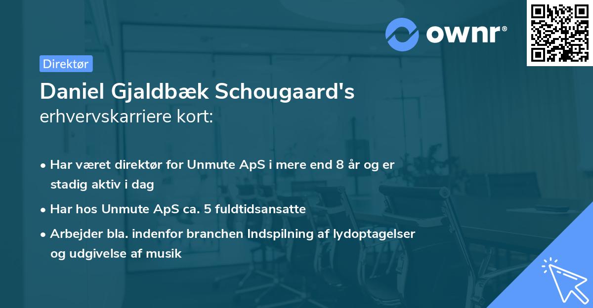 Daniel Gjaldbæk Schougaard's erhvervskarriere kort