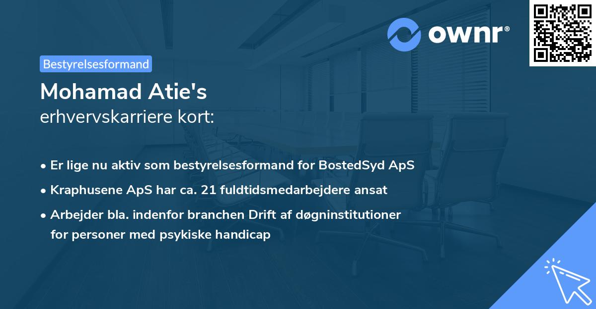 Mohamad Atie's erhvervskarriere kort