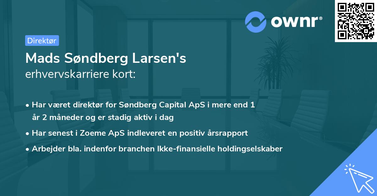 Mads Søndberg Larsen's erhvervskarriere kort