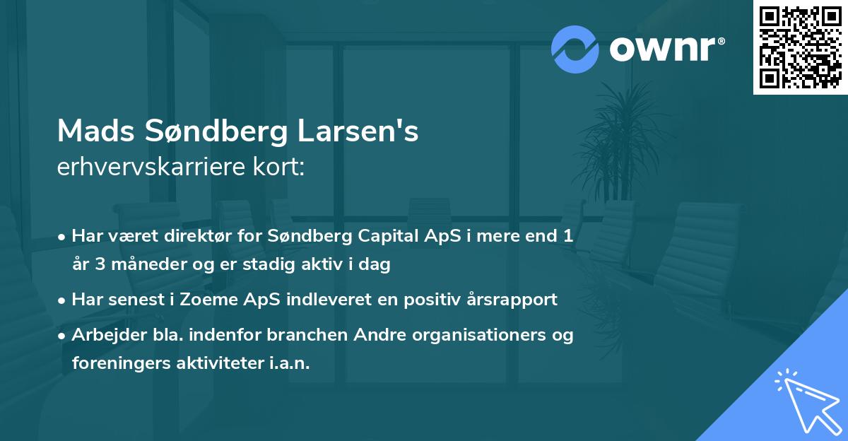 Mads Søndberg Larsen's erhvervskarriere kort