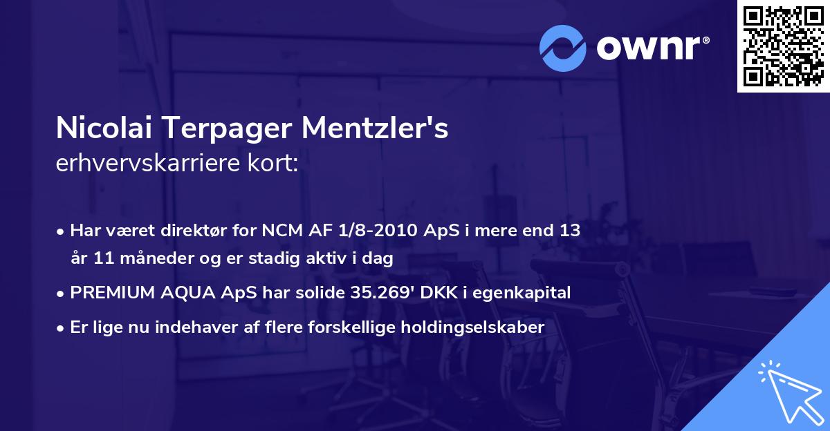 Nicolai Terpager Mentzler's erhvervskarriere kort