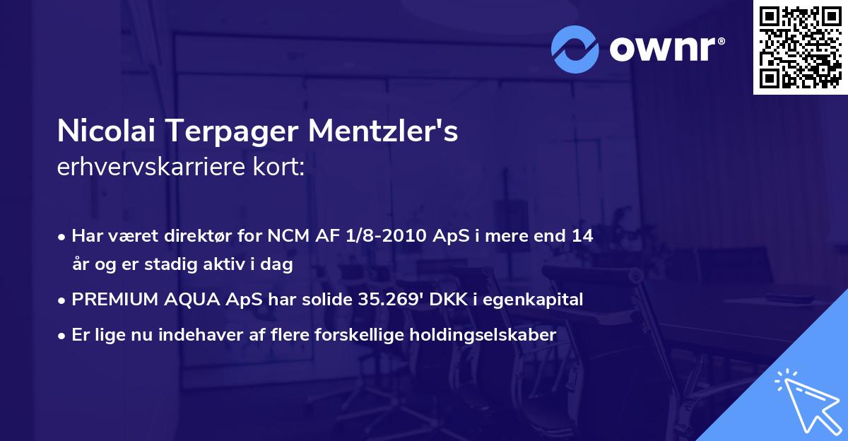 Nicolai Terpager Mentzler's erhvervskarriere kort